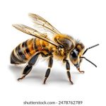 500彩票开奖首页:最新开奖信息与中奖查询 17ep4ep