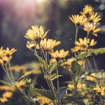 深入分析QQ娱乐平台的安全性与用户隐私保护措施 4kj8fh