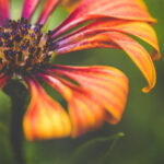 JTBC在线直播观看平台,热门韩剧综艺实时放送 3eqa5