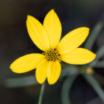 J联赛激战正酣,独家直播带你直击绿茵对决 7r1tsr9