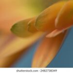 K028开奖结果最新公布,今日开奖号码查询 aptgx3g