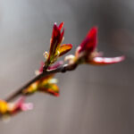 JTBC线上直播全新上线,精彩内容不容错过 u2qpt7ys1